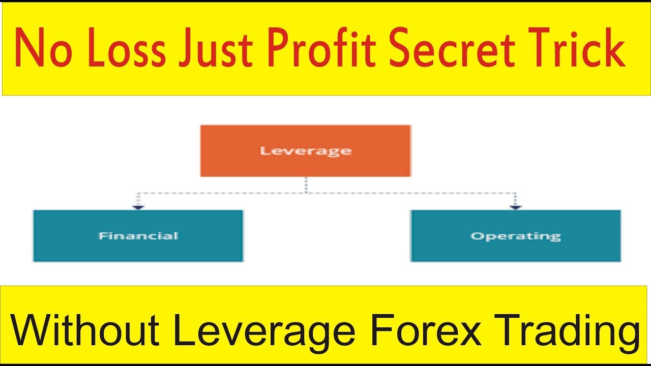 Zero Percent Chance of Loss | Without Leverage Work in Forex trading business Tani Urdu Tutrial