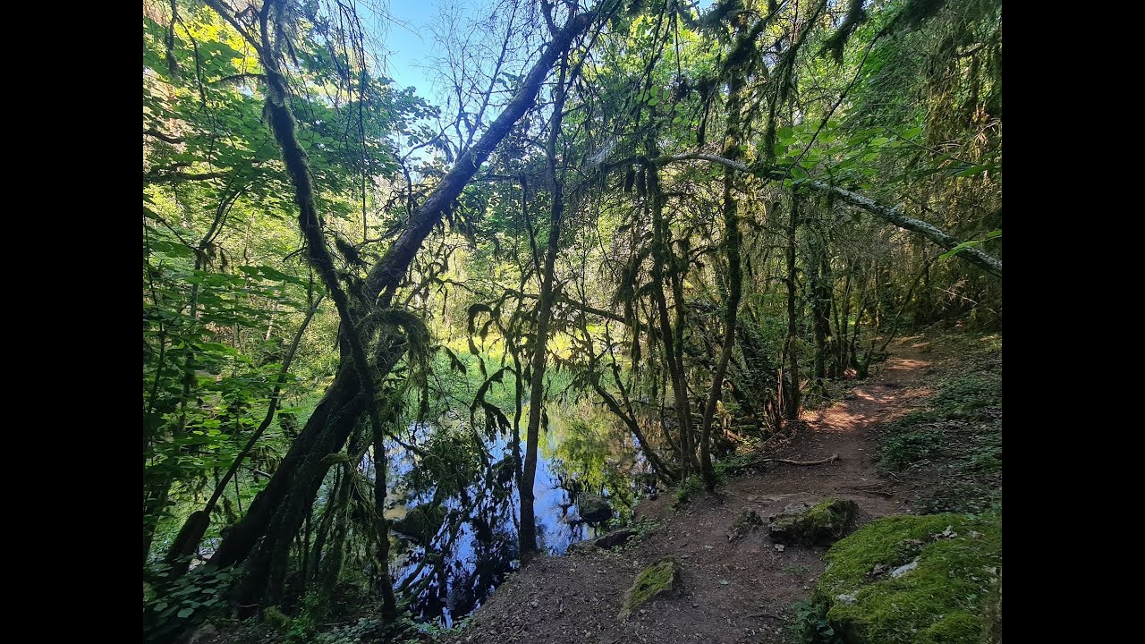 À la découverte des merveilles naturelles du Larzac.. 🌲🌾💧