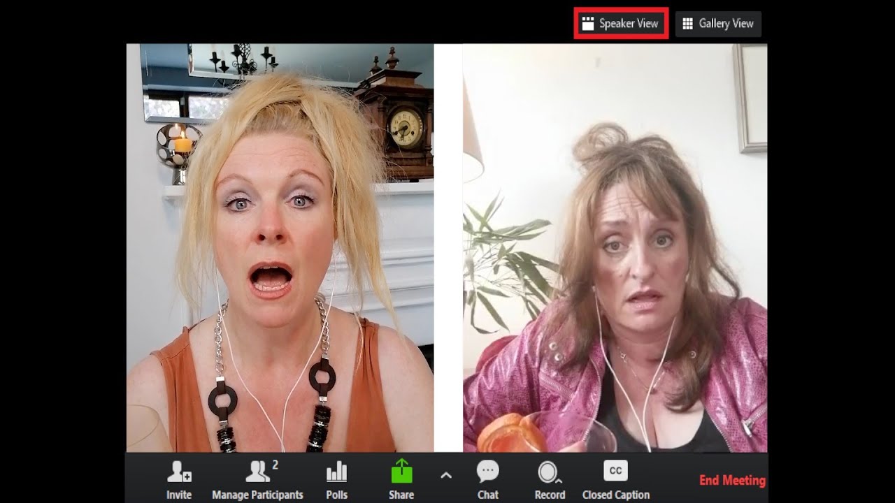 Carmel and Debs have a zoom call.