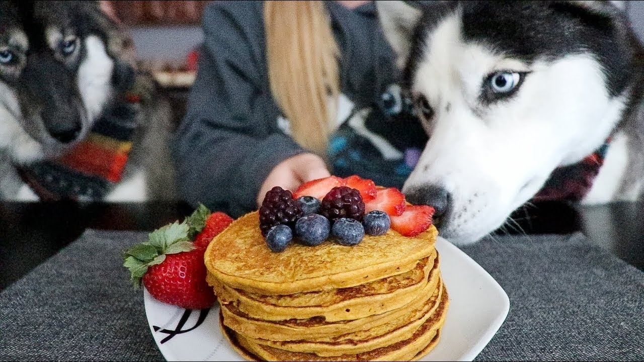 Тыквенные блинчики с ягодами для собак своими руками!