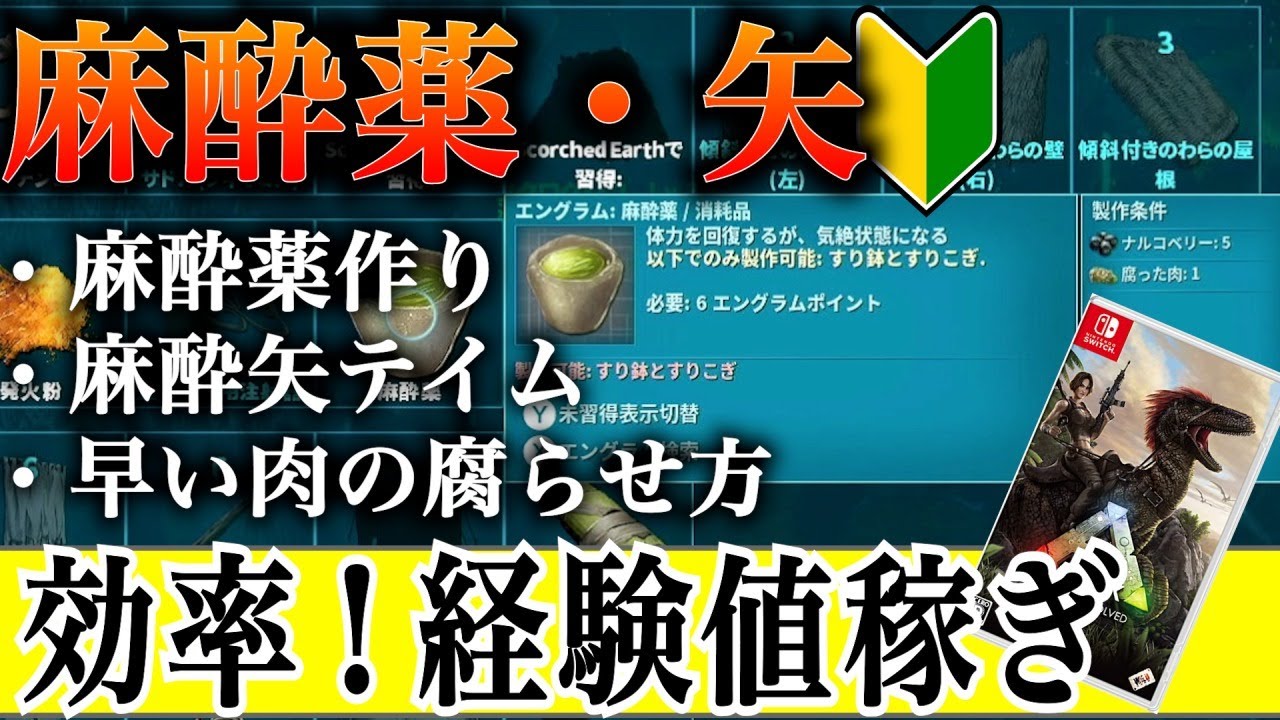 【初見無理】Switch版ARKの麻酔薬・矢の作り方！使い方！レベル・経験値稼ぎ！