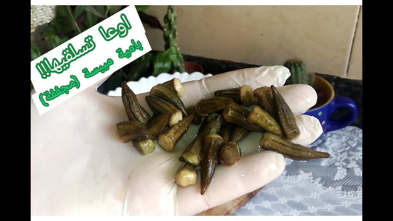 أوعا تسلقيها أو تنقعيها البامية الميبسة المجففة وطبخها واستوائها #مطبخ _وفاء_الحموي#بامية _يابسة