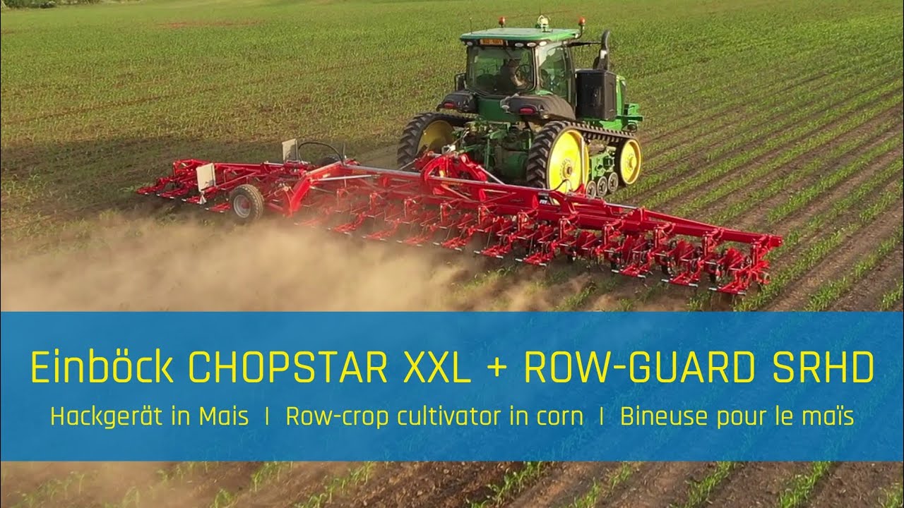 Hackger&auml;t in Mais | Row-crop cultivator in corn | Bineuse ma&iuml;s : EINB&Ouml;CK CHOPSTAR XXL + ROW-GUARD