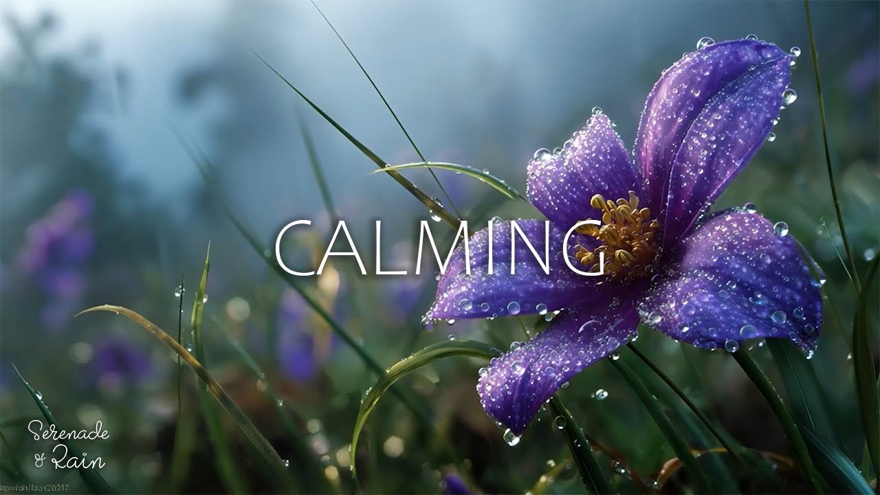 🌲🌙 Peaceful Piano Music with Forest Sounds for Mindful Meditation, Deep Sleep and Relaxation