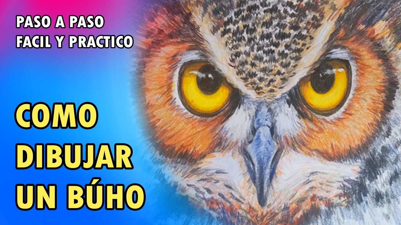 COMO DIBUJAR UN BÚHO CON LAPICES DE COLORES/ PASO A PASO/