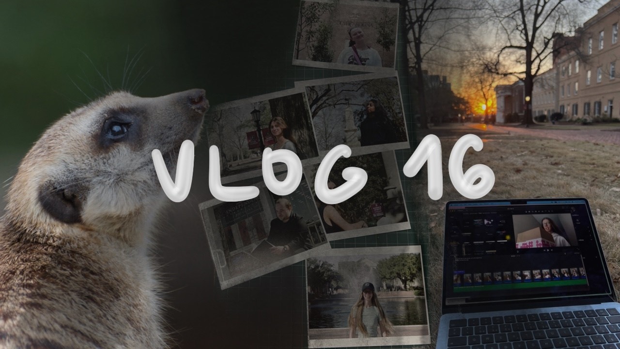 USA vlog 16