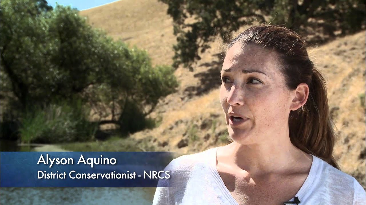 Managing for Wildlife Habitat on Rangeland: There's a Plan for That