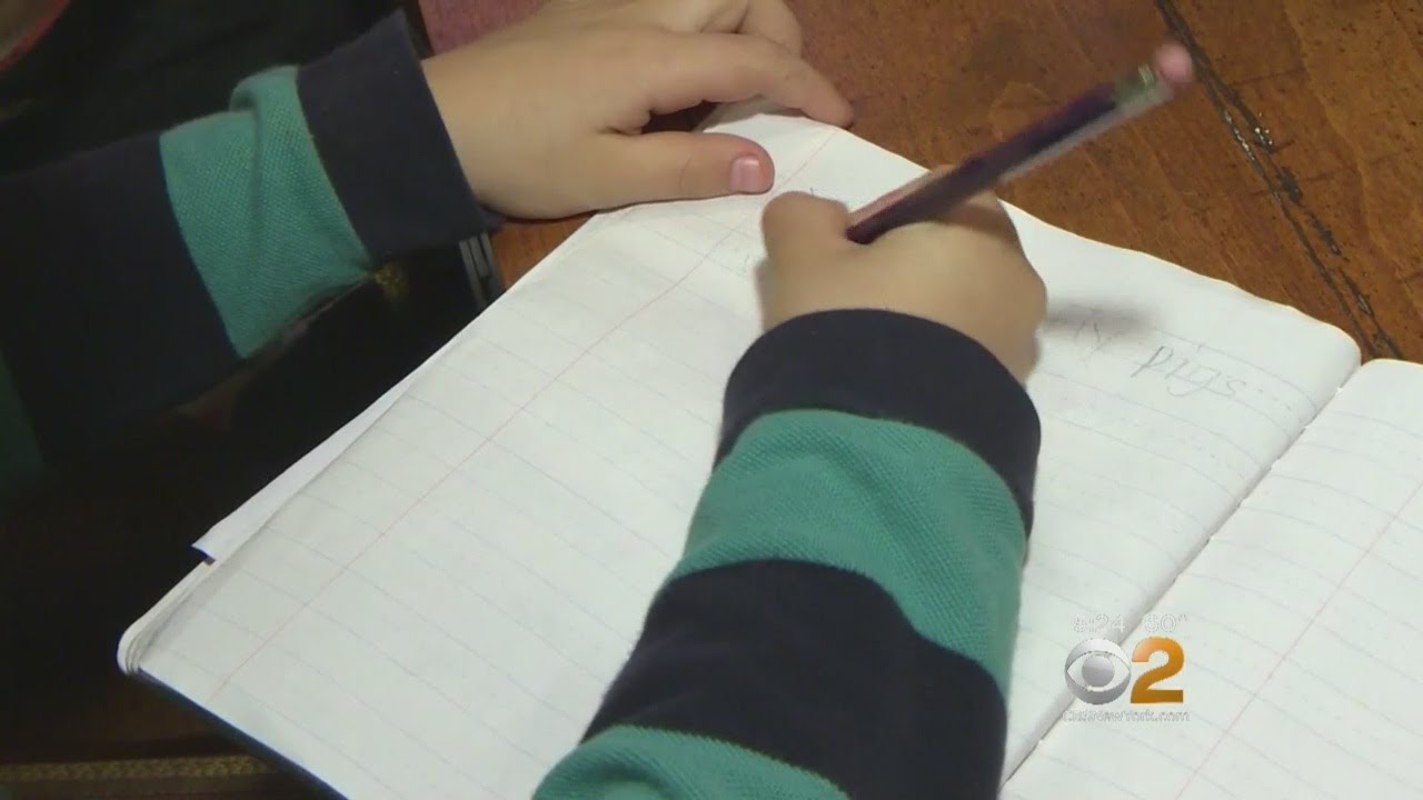 The Homework Debate