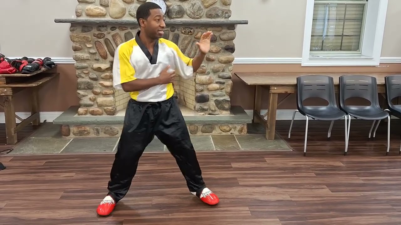 Backfist Reverse Punch/ Coach Ran/ Lincoln Park Martial Arts