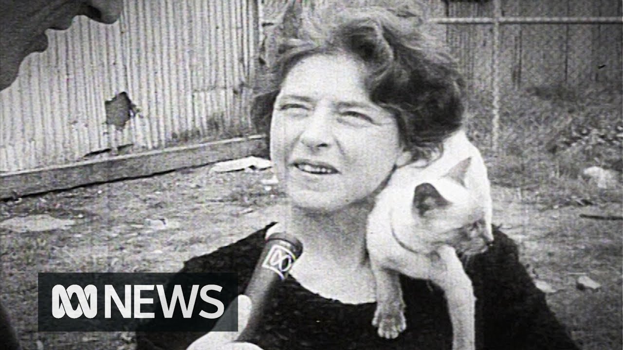 One woman's road trip with 55 cats (1969) | RetroFocus
