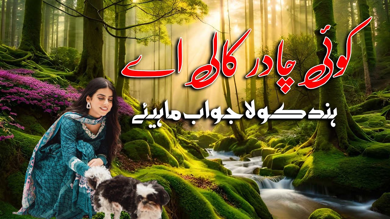 Koi Chadar Kali Aye Singer Qadeer Awan Nazar Awan Hindko Mahiye Hazara Songs