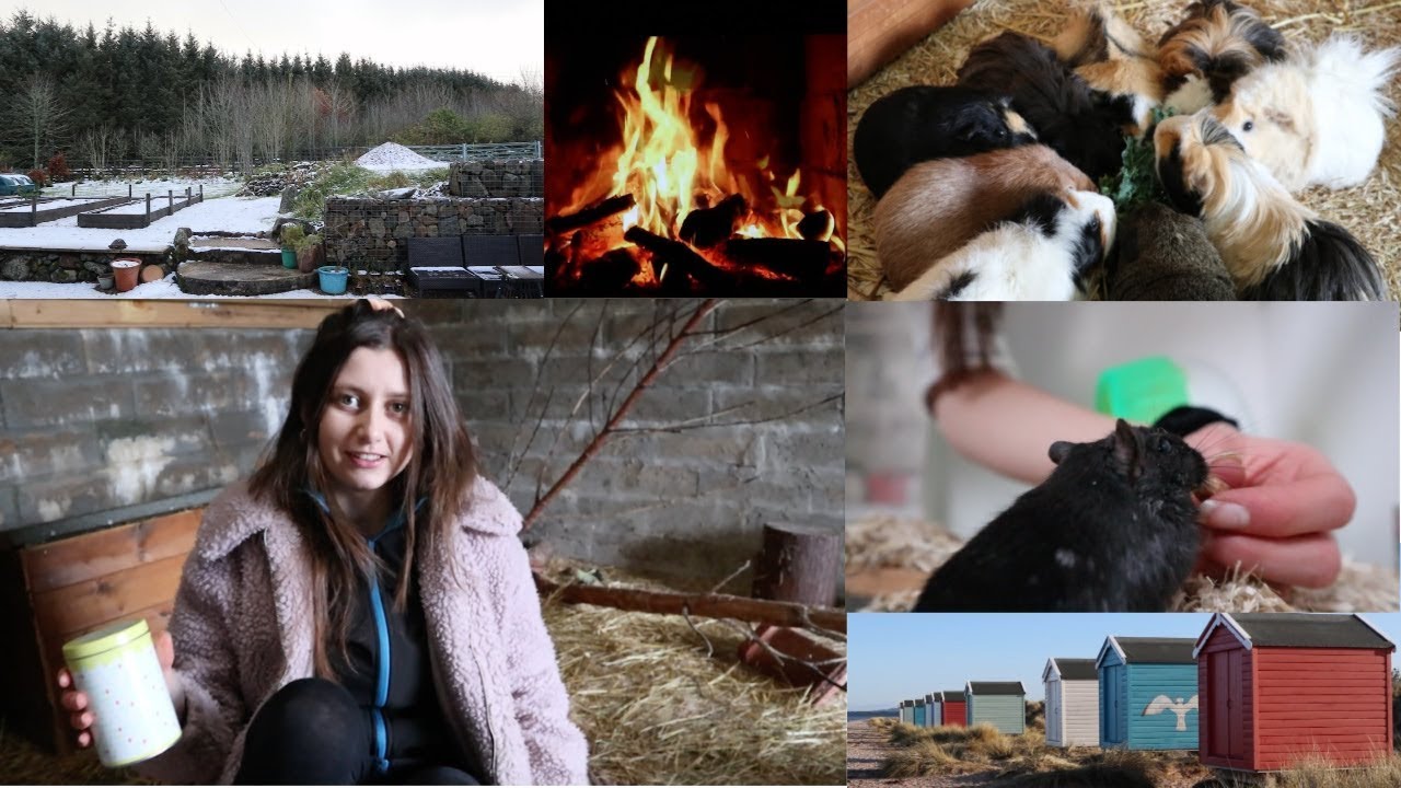 COSY WINTER VLOG & day out (seaside village)