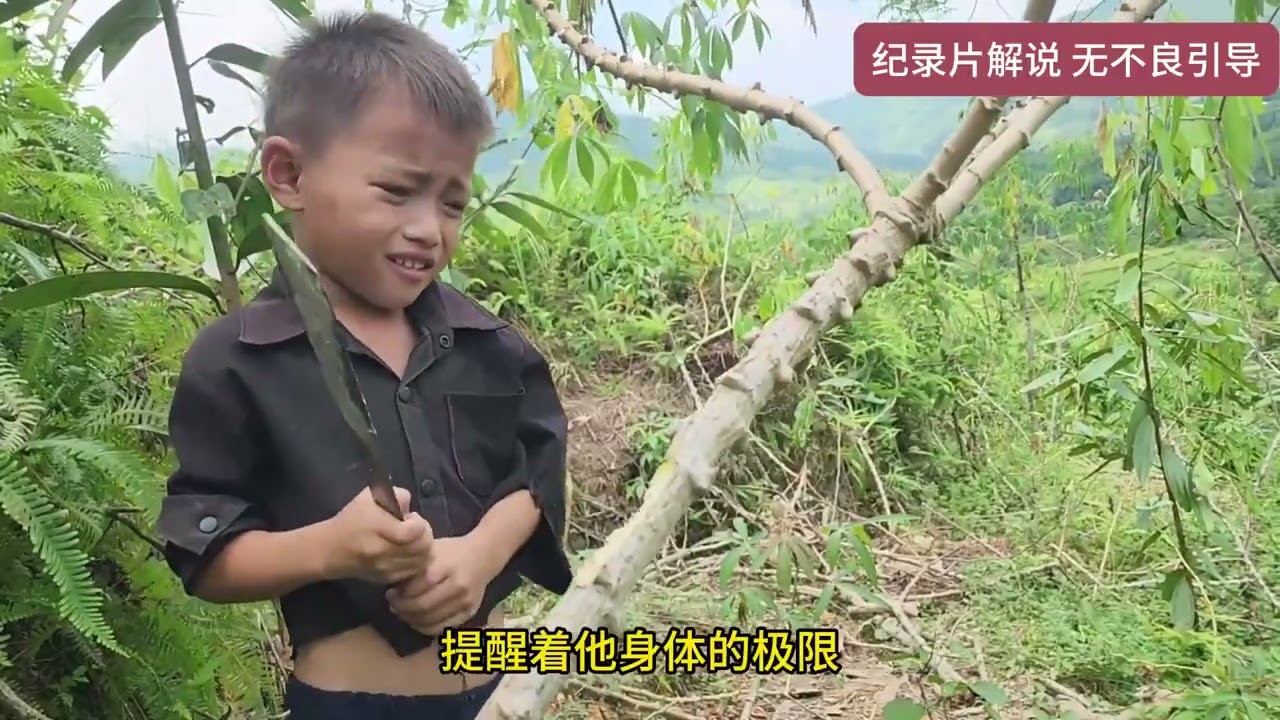 房屋瞬間崩塌！弟弟重傷死里逃生…家破人亡后，兄弟倆絕望求生！ #野人 #猎人 #山谷 #警察 #冒险