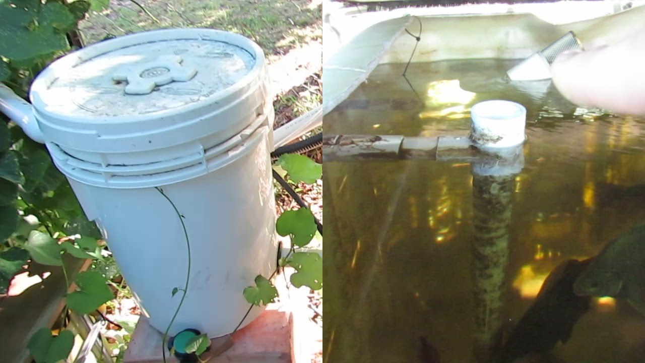 Водопровод для аквапоники: как вода циркулирует в нашей системе IBC.