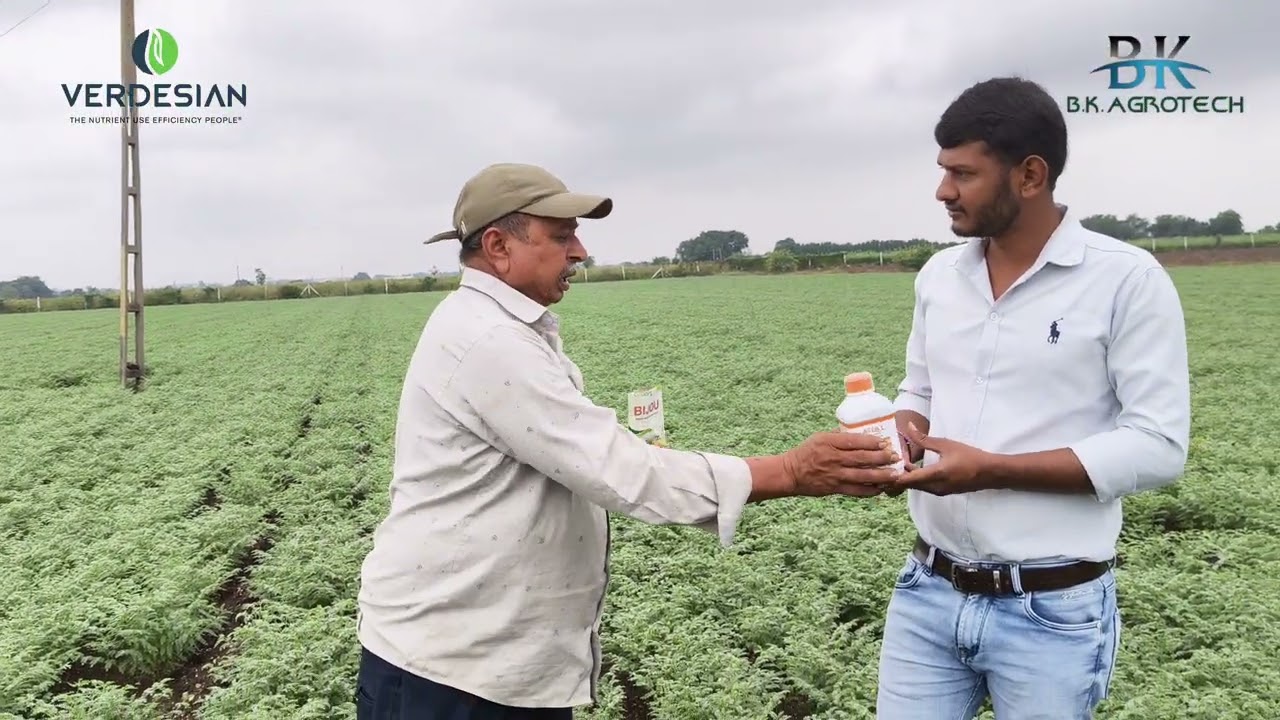 🌾 મજબૂત શરૂઆત BIJOU સાથે – શક્તિશાળી વૃદ્ધિ ATOLL સાથે! 🌱