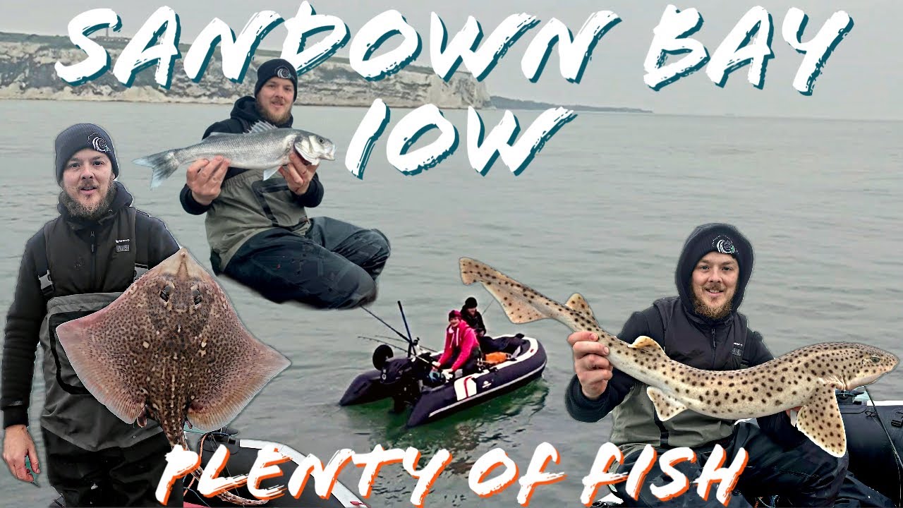 SIB Fishing Isle Of Wight, Sandown Bay | Amazing Session In November! Sea Fishing Uk