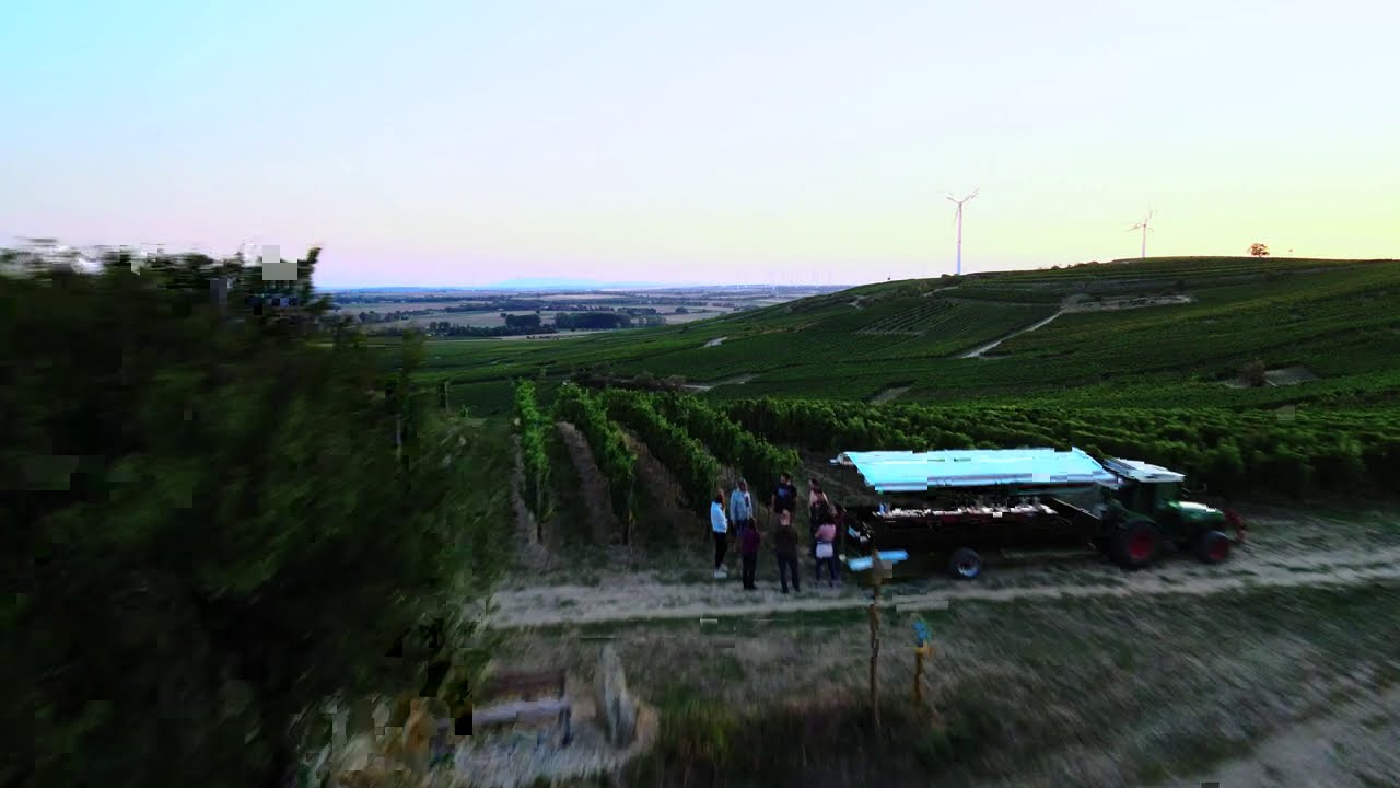 Funzelfahrt in den Weinbergen zwischen Zornheim und Selzen | Drohnenfaszination