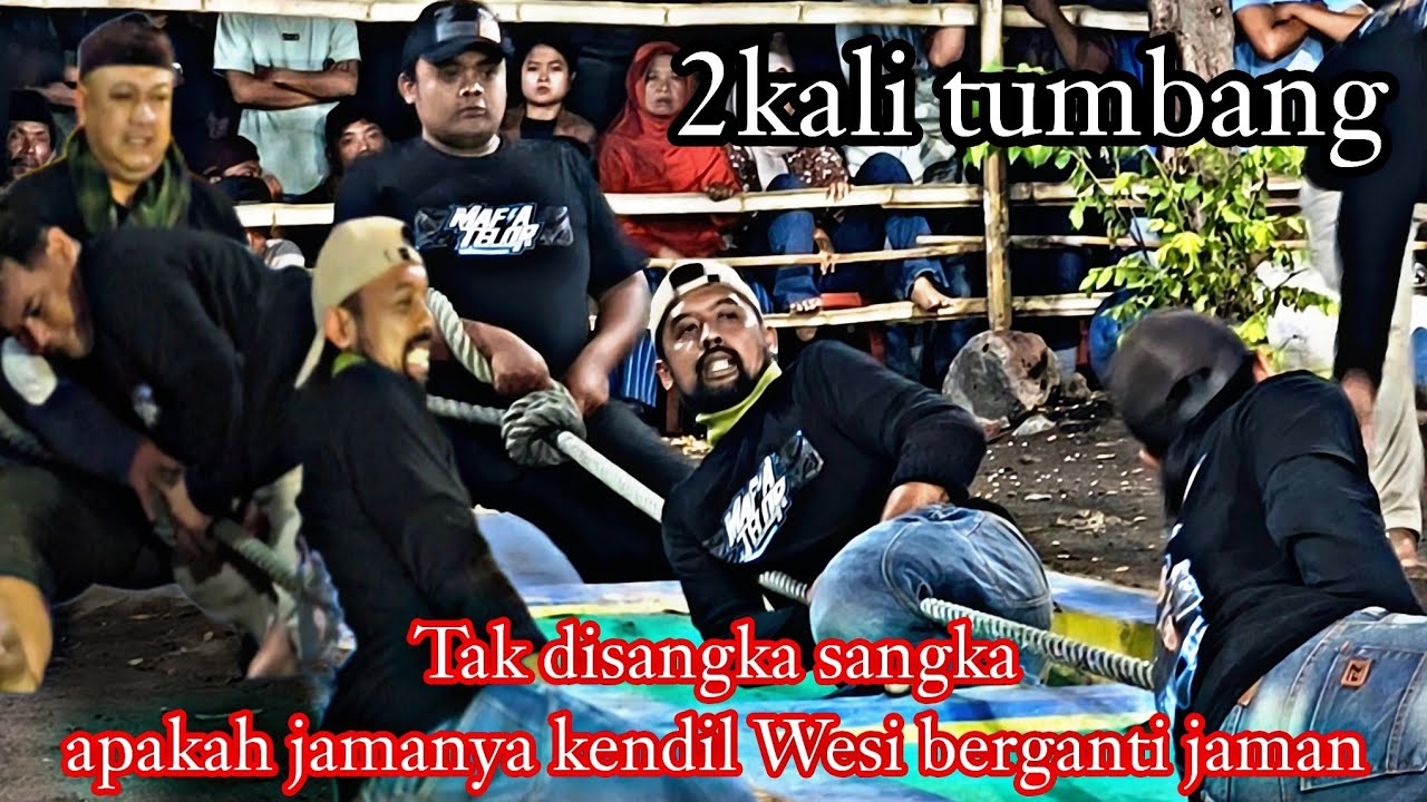 Chiken balap/kendilwesi (purut) vs macan Nusantara (Joboan) #joboancup #eenksdm #tariktambangmadura