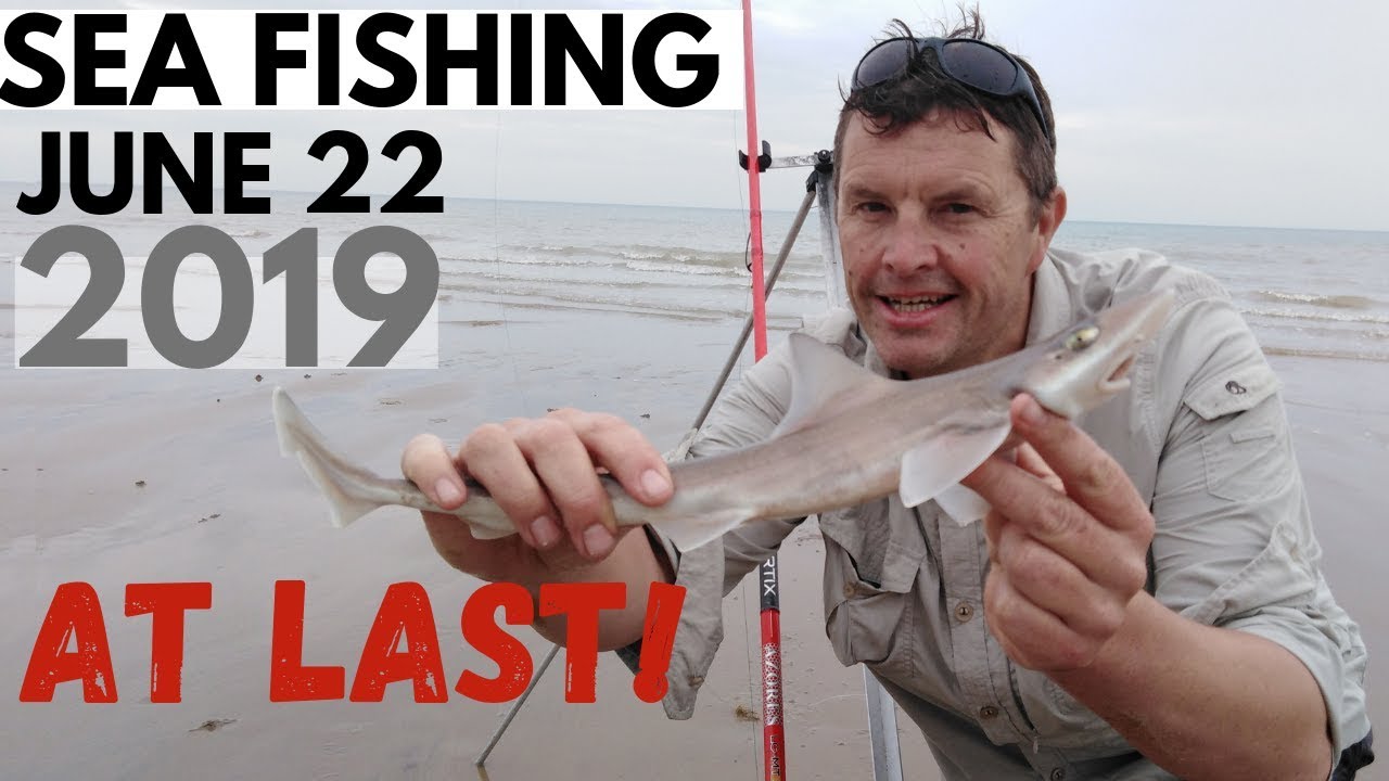 Sea Fishing June 2019 -Fish at Last !