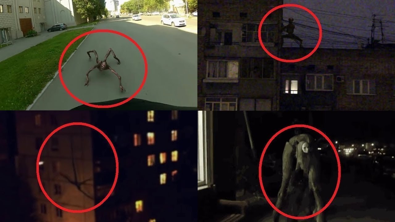 4 creaturi ciudate prinse pe camera video
