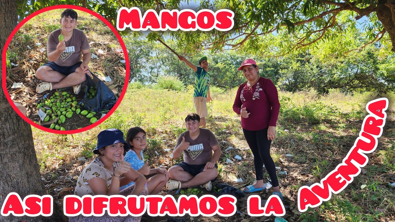 ASI DISFRUTAMOS LA AVENTURA FAMILIAR CORTAMOS MUCHOS MANGOS 🥭 