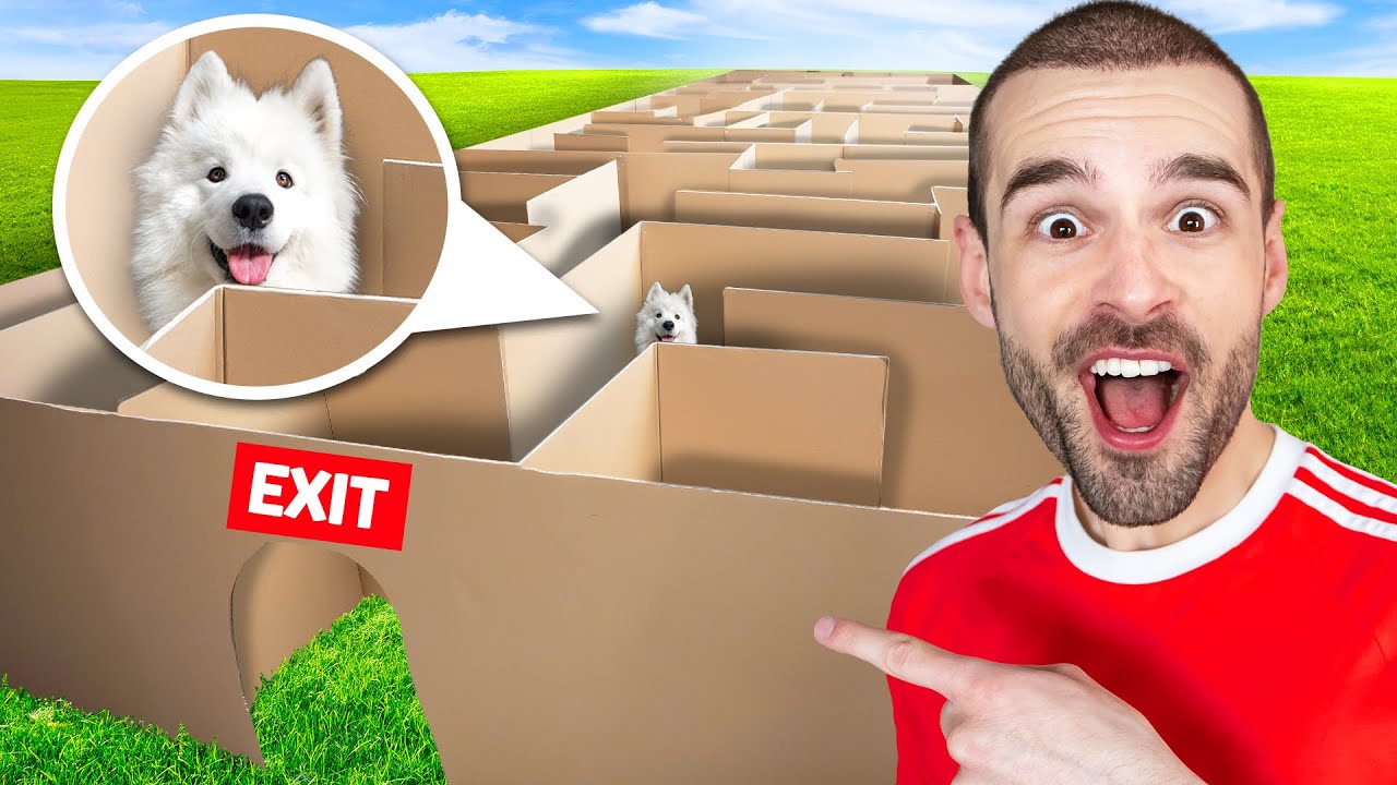 Ik Bouw Een Doolhof Voor Paco De Hond! *Gaat Ze Ontsnappen?*