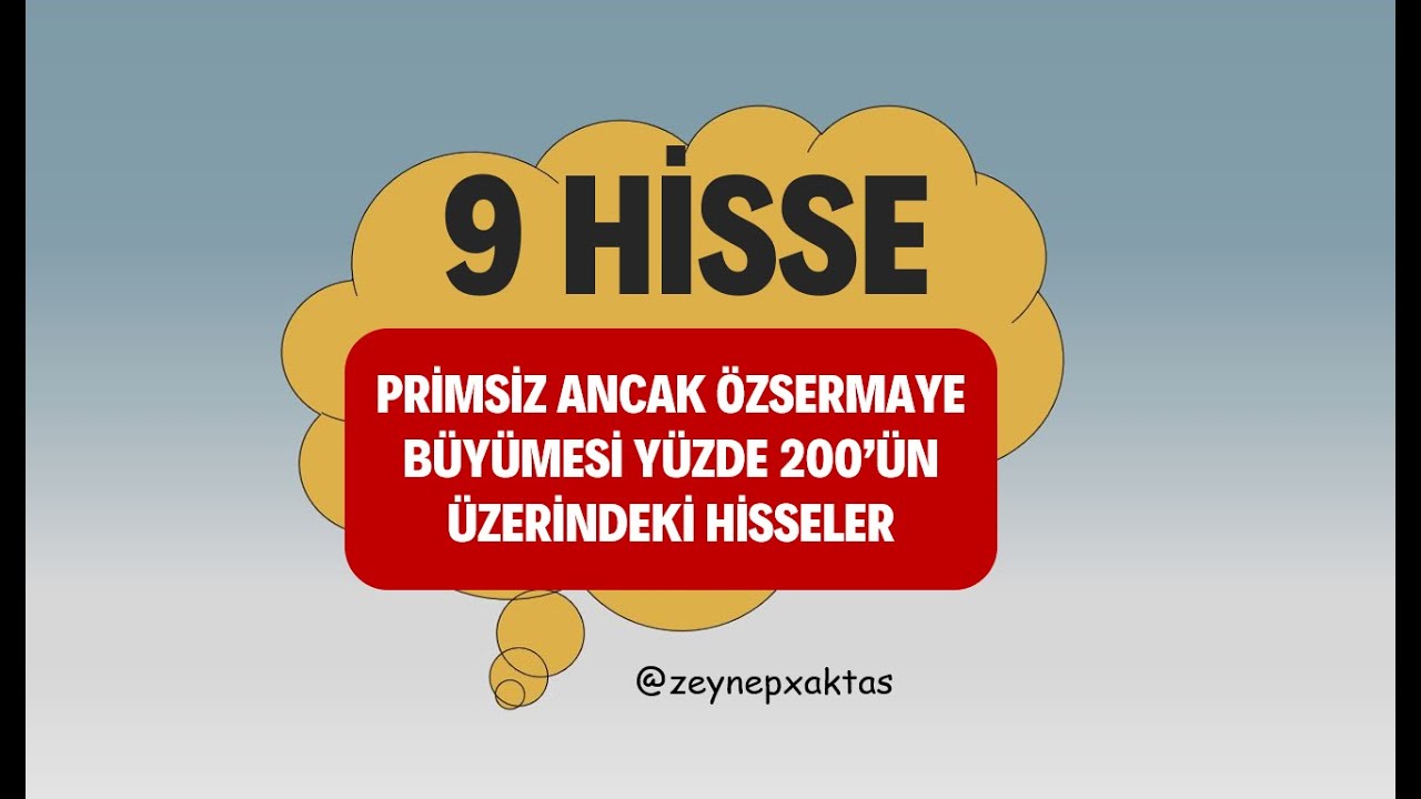 &Ouml;ZSERMAYE B&Uuml;Y&Uuml;MESİ Y&Uuml;ZDE 200&rsquo;&Uuml;N &Uuml;ZERİNDE OLAN PRİMSİZ HİSSELER