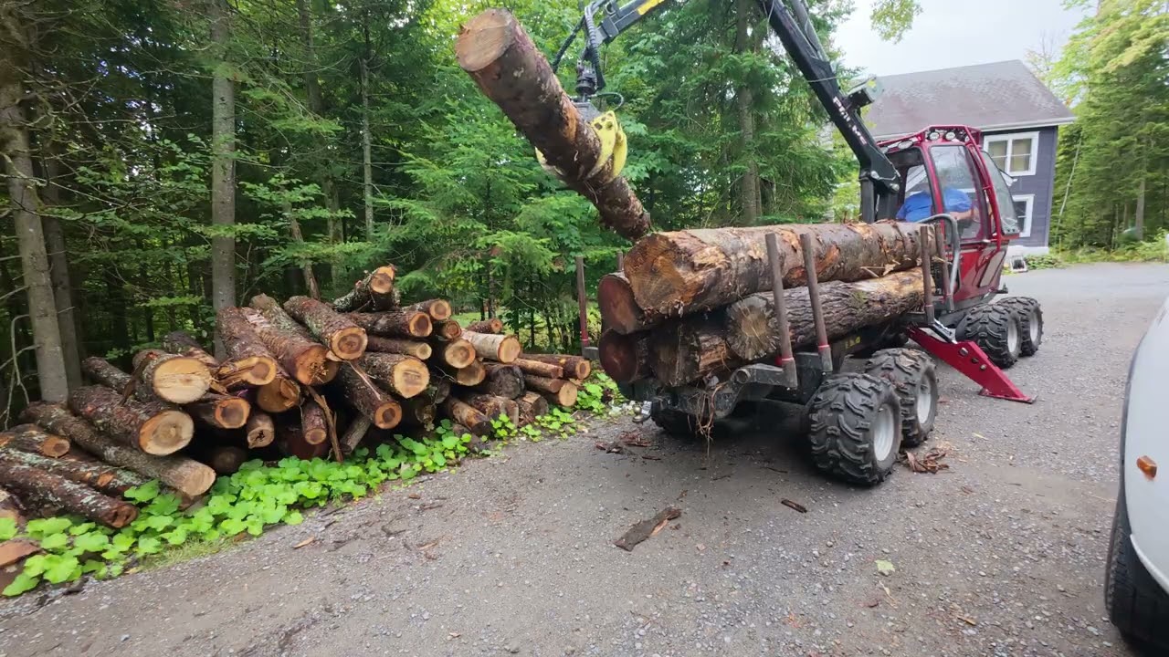 158-Ménage dans mon bois pour filmer un billot de la semaine