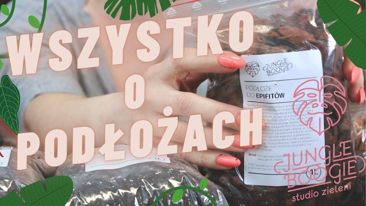 Podłoża i ziemia do roślin doniczkowych czyli w co posadzić:)Wielki przewodnik po ziemi i podłożach.