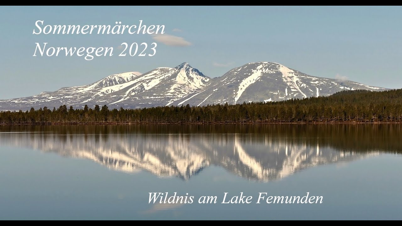 Sommermärchen Norwegen 2023, Natur und Wildnis am Femunden; Wildernes at the Lake Femunden
