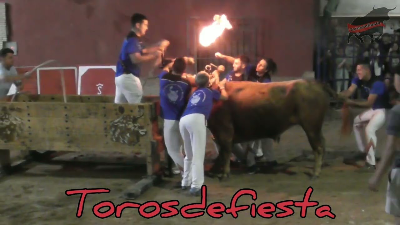 Ganadería Navarré en Plasencia de Jalón