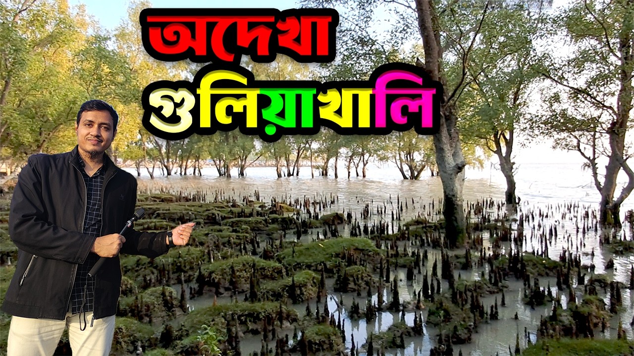 গুলিয়াখালি সমুদ্র সৈকত 🇧🇩 | বাংলাদেশের একমাত্র সবুজ সমুদ্র সৈকত | Camping & Hidden Forest