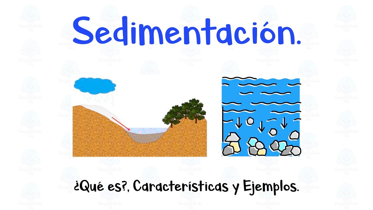 🏝 Sedimentaci&oacute;n. 🪨 &iquest;Qu&eacute; es?, Caracter&iacute;sticas y Ejemplos. - [F&aacute;cil y R&aacute;pido]