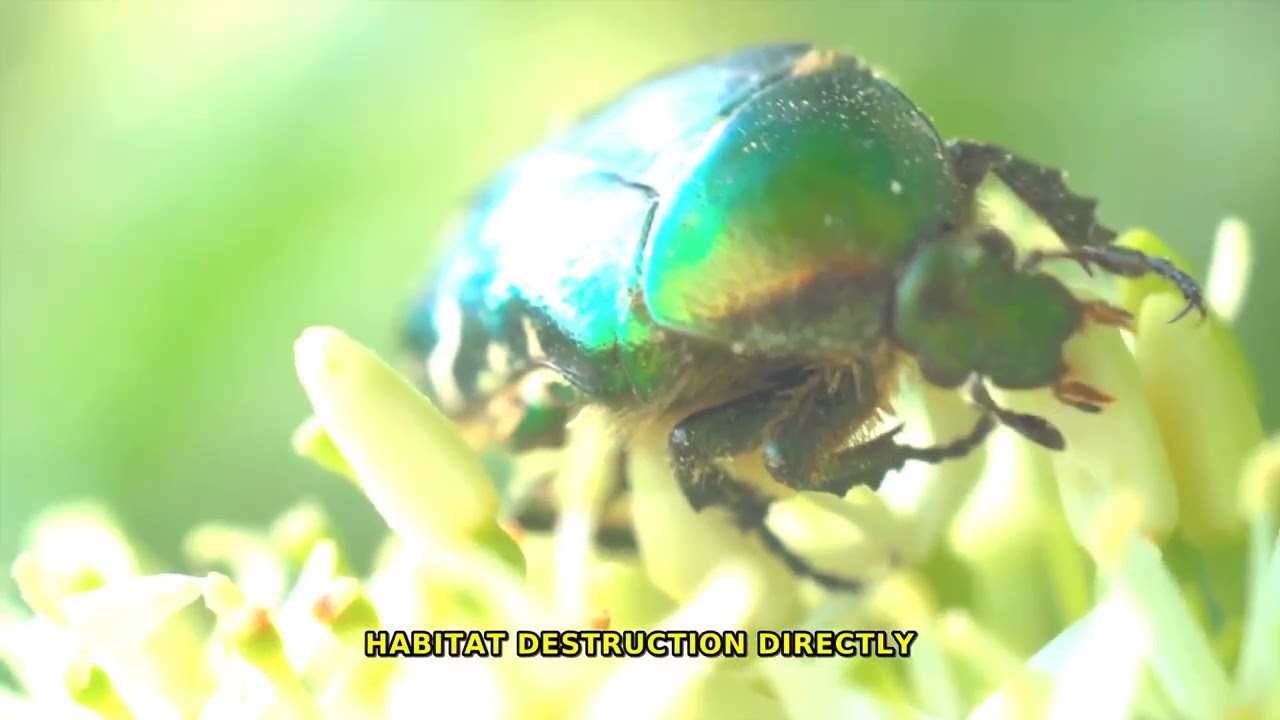 Within a single dewdrop, an entire alien world thrives, battling