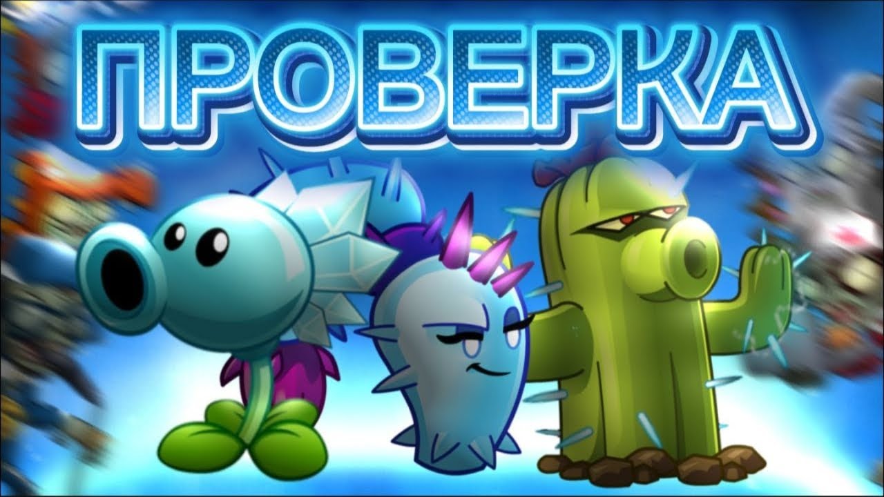 Новая рубрика! Проверка команды 