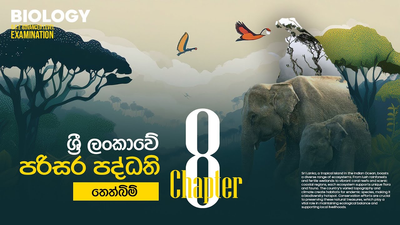ශ්‍රී ලංකාවේ පරිසර පද්ධති | තෙත්බිම් | පරිසර විද්‍යාව | Sri Lankan wet lands | Bhagya S Jayasekara