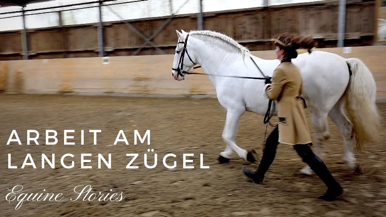 Arbeit am Langzügel I Grundlagen I Equine Stories