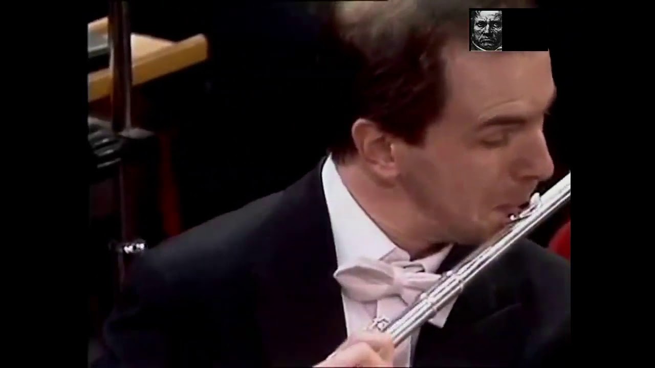 Beethoven Symphony No 9 in D minor &bdquo;An die Freude&ldquo; &bdquo;Ode to Joy&ldquo; Carlo Maria Giulini