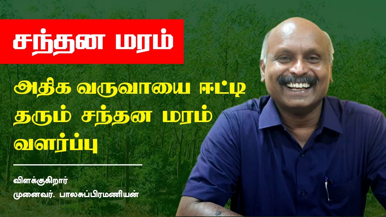 சந்தன மரச் சாகுபடி பயிற்சி | முனைவர். பாலசுப்பிரமணியன் | வனத்துக்குள் திருப்பூர் | வெற்றி