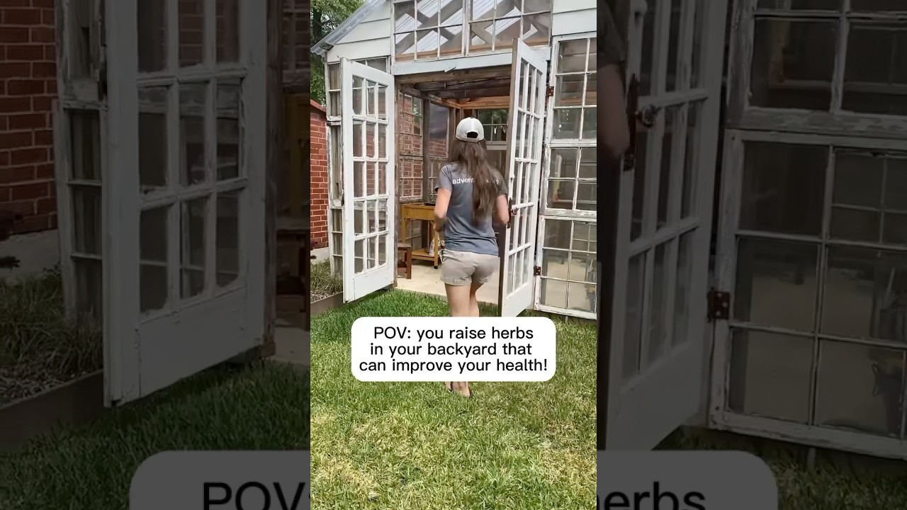 POV: you raise herbs in your backyard that can improve your mental health #shorts #herbs