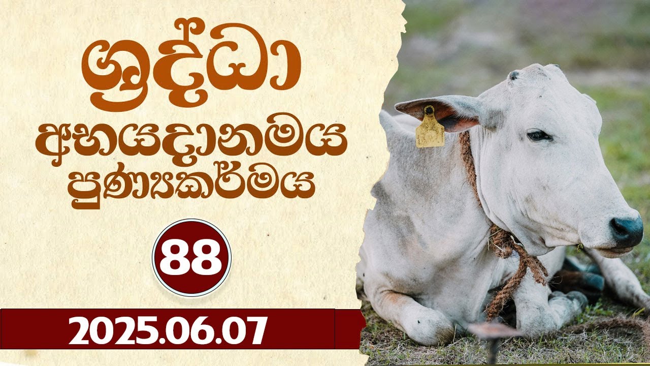 88. ශ්‍රද්ධා අභයදානමය පුණ්‍යකර්මය | 2025-06-07 | ශ්‍රද්ධා සමාජ සත්කාර ඒකකය