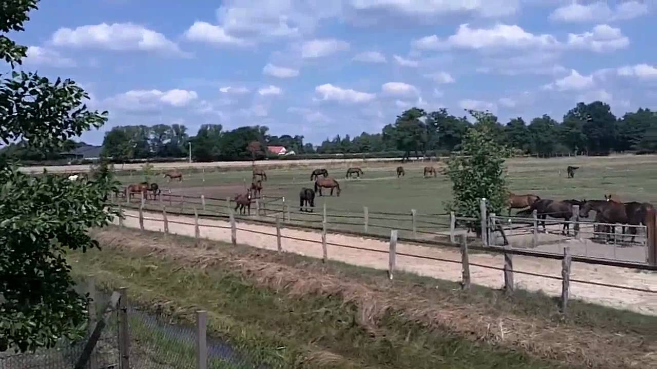 Hof-Schierenbeck Reitstall, Pferdeboxen, Reitanlage in Weyhe
