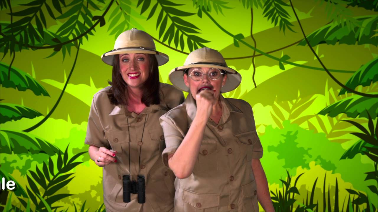 Singing Hands: It's Signing Time 3 DVD - with Makaton