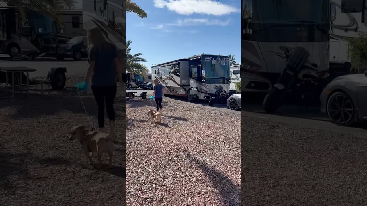 RV Morning Routine While My Husband Works Remote | Full-Time RV Life #rvlife  #fulltimerv #rvliving