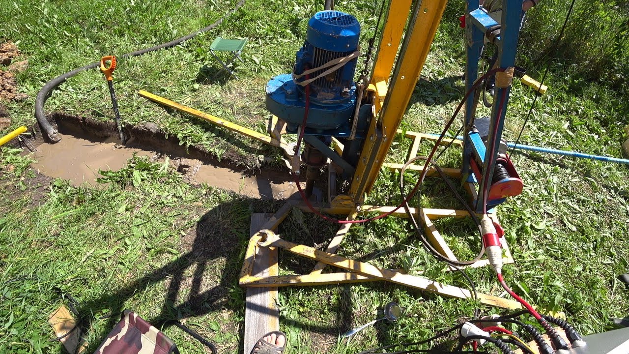 Абиссинка - через раз! СНТ Сокол.