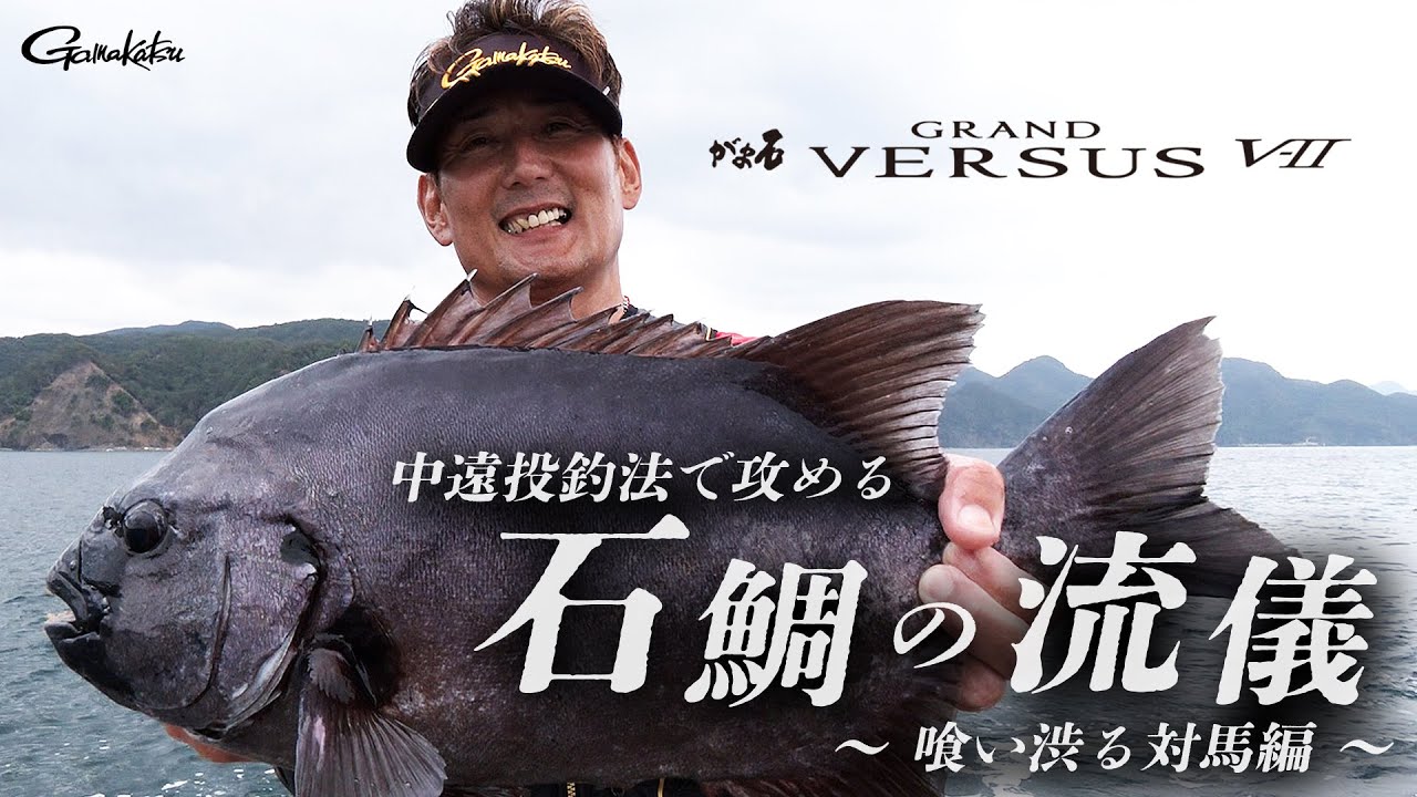 磯の王者