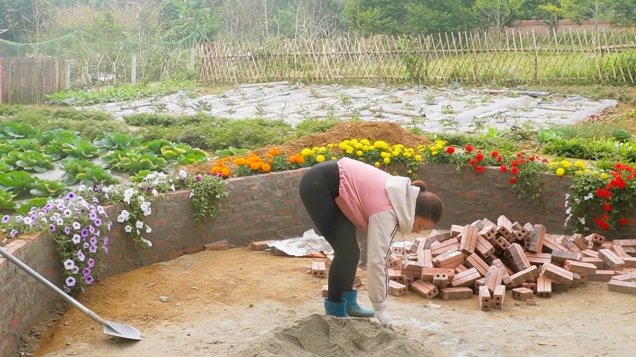 Continuing to Build Fish Ponds While Earning Stable Income from a Productive Corn Harvest
