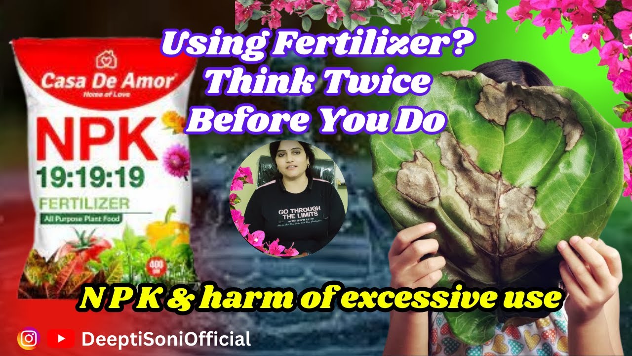 NPK 19 19 19 Water Soluble Fertilizer Harmful effect on plants #npk191919 #npk #deeptisoniofficial