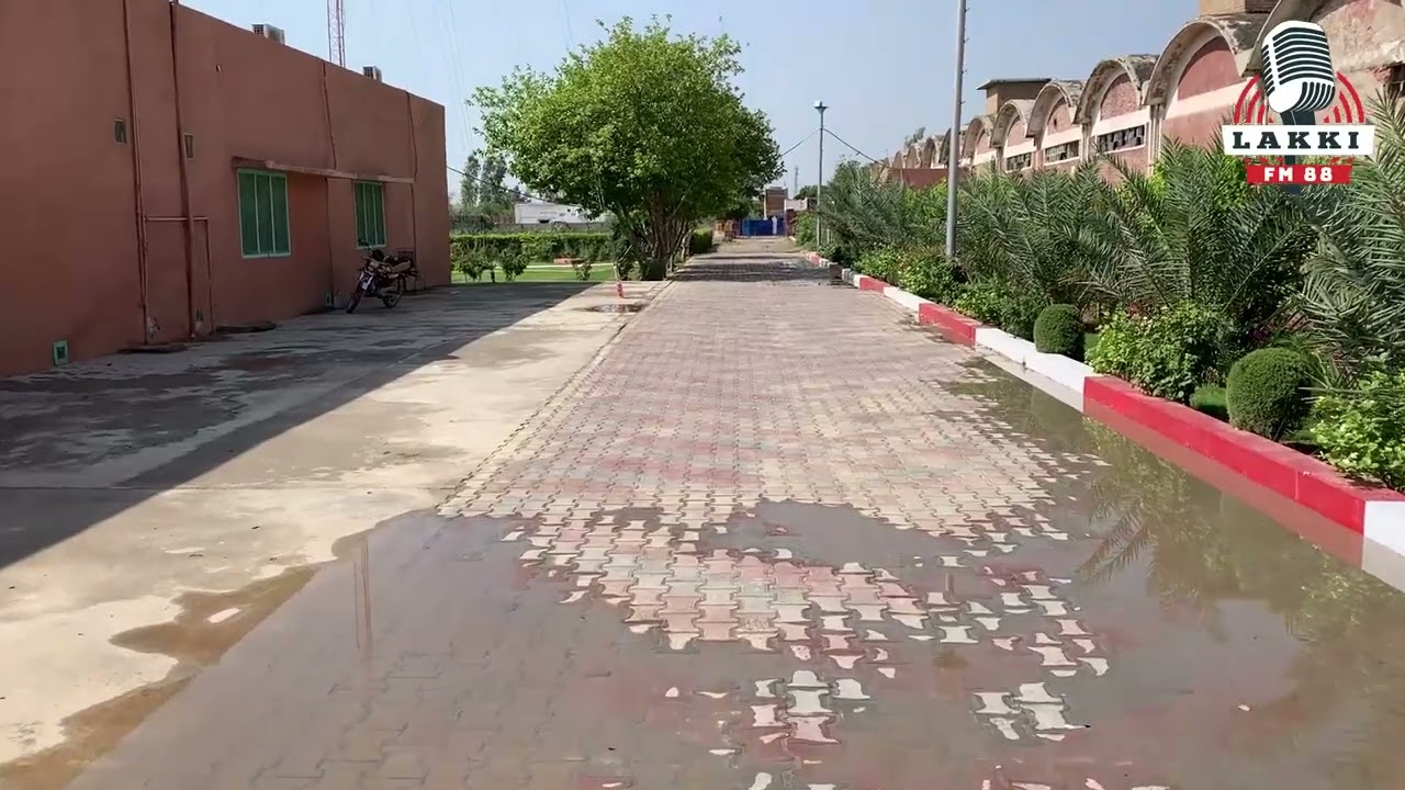 Sarai Naurang: Birds songs in Lakki FM 88 after the rain