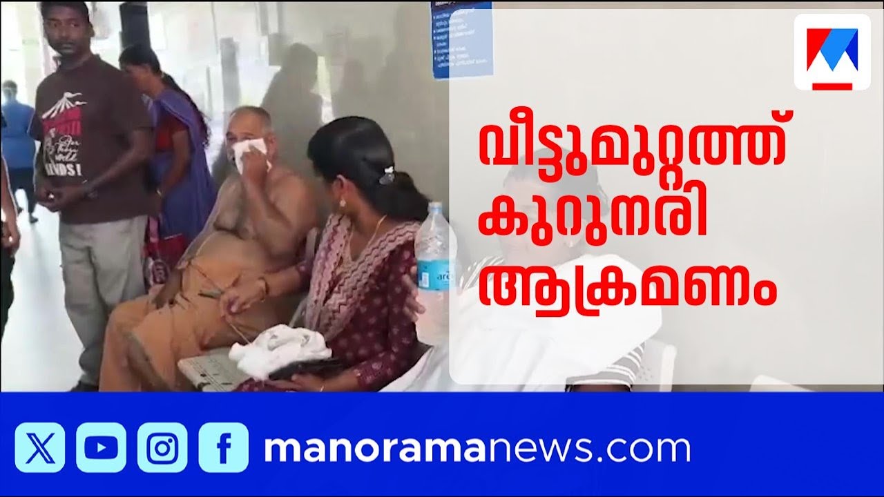 പുനലൂരിൽ വീട്ടുമുറ്റത്ത് ദമ്പതികൾക്ക് നേരെ കുറുനരി ആക്രമണം | Kollam | Animal Attack